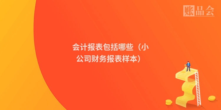会计报表包括哪些（小公司财务报表样本）