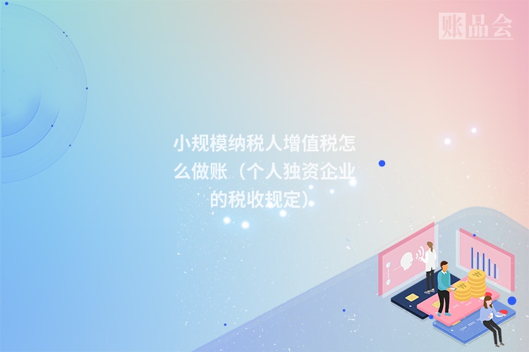 小规模纳税人增值税怎么做账（个人独资企业的税收规定）