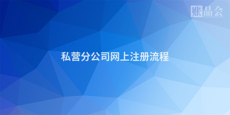 私营分公司网上注册流程